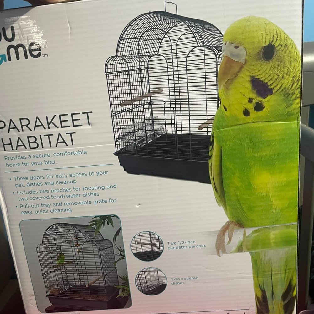 Bird Cage